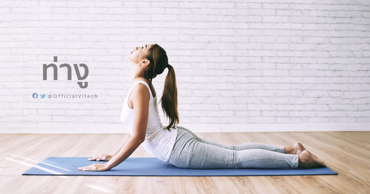 Yoga-โยคะ-ท่างู