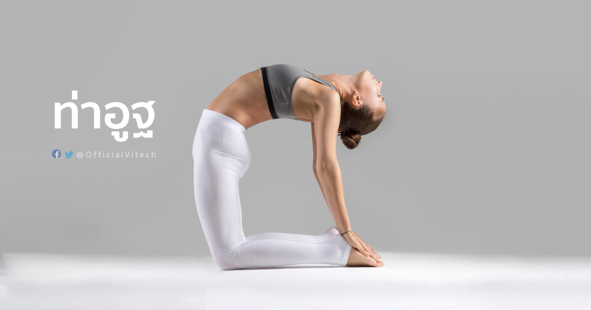 Yoga-โยคะ-ท่าอูฐ