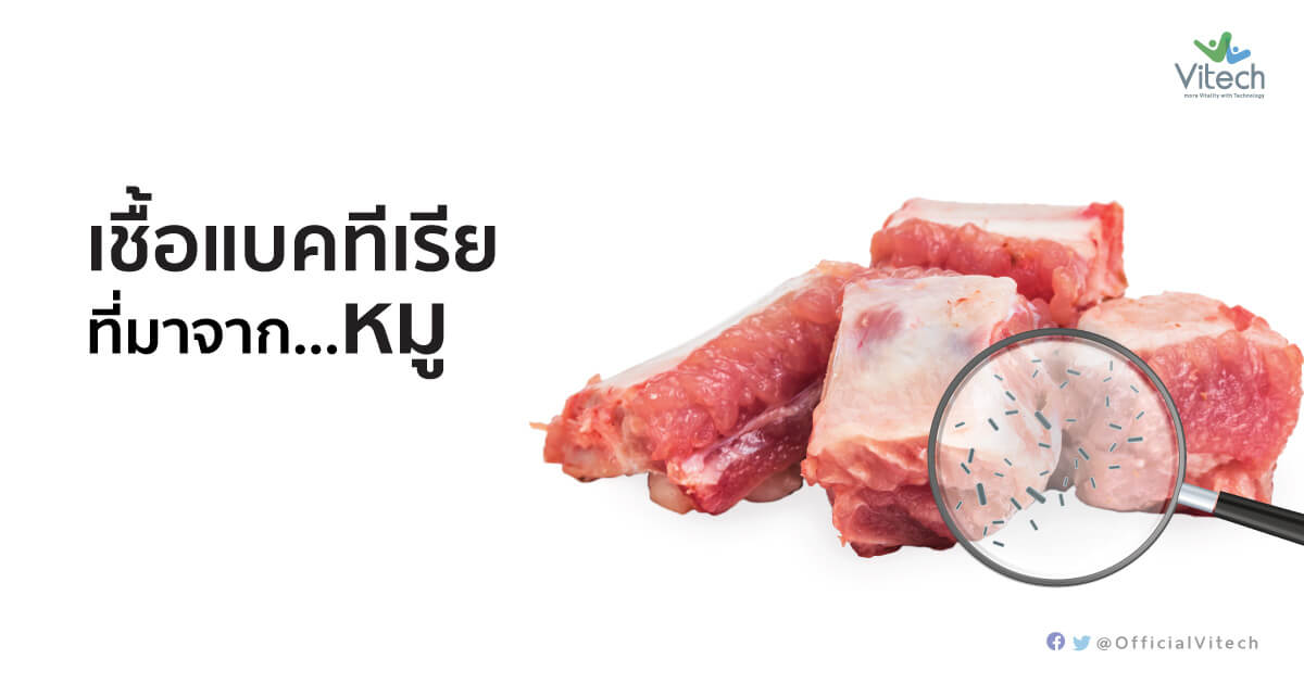 ไข้หูดับ-เชื้อแบคทีเรียที่มาจากหมู