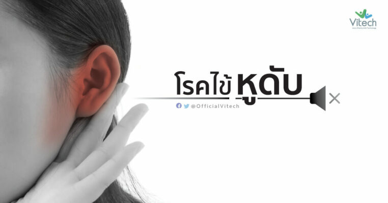 โรคไข้หูดับ