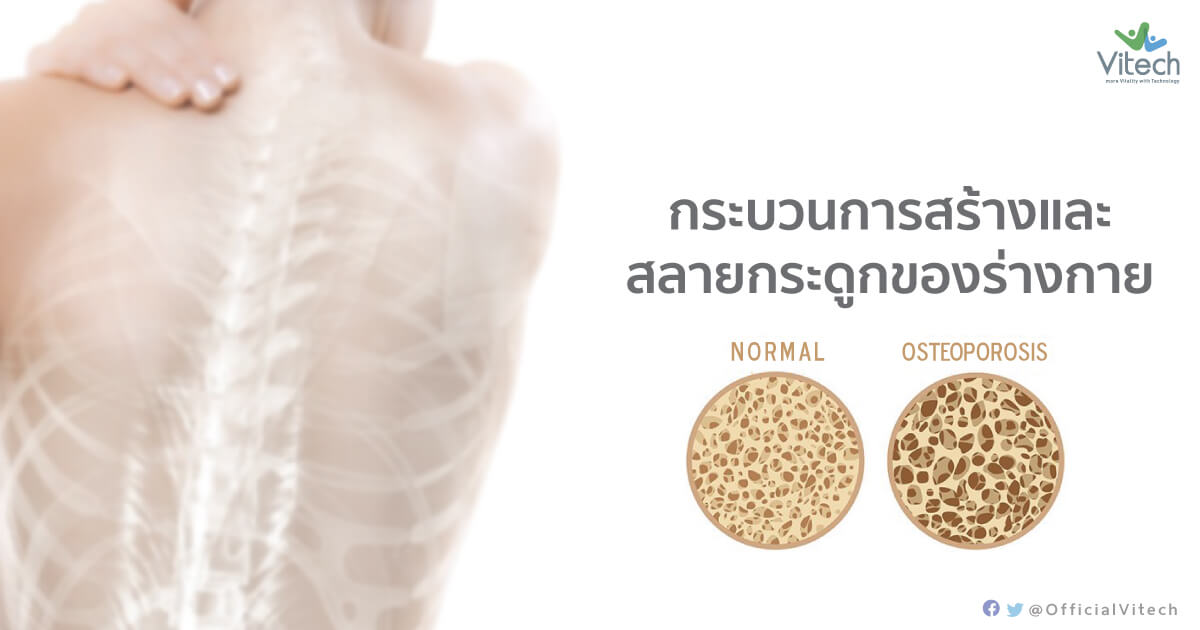 กระบวนการสร้างและสลายกระดูกของร่างกาย