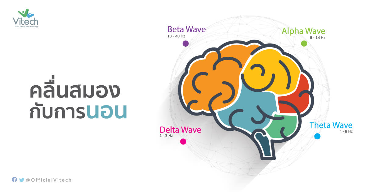 การนอนหลับ-คลื่นสมองกับการนอน