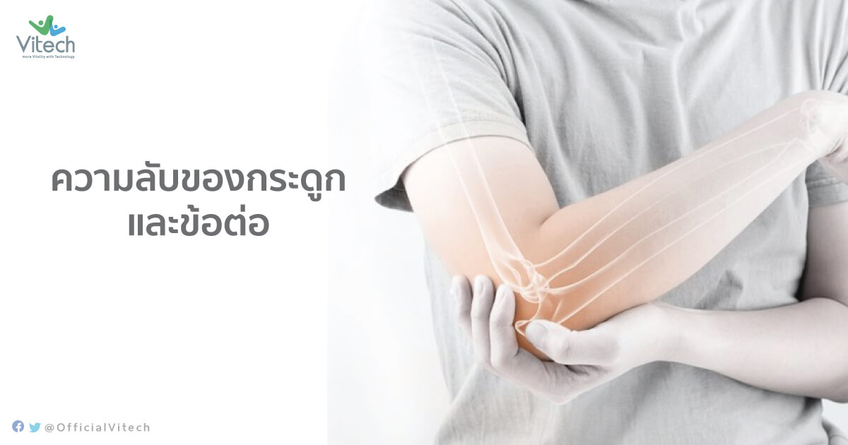 ความลับของกระดูกและข้อต่อ