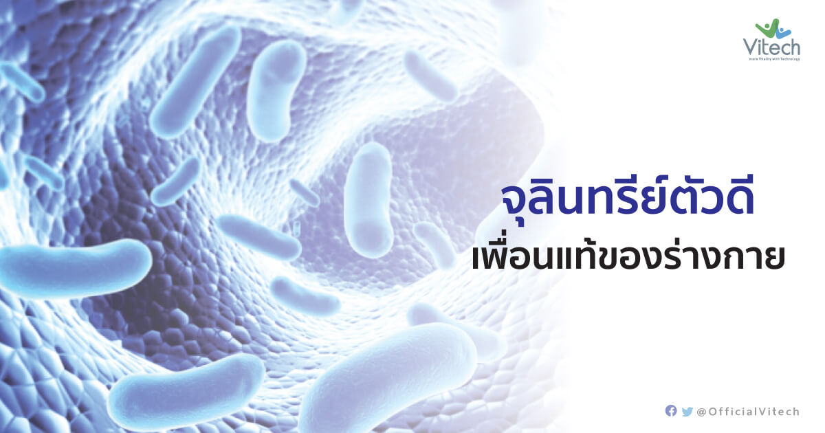จุลินทรีย์ตัวดี-เพื่อนแท้ของร่างกาย