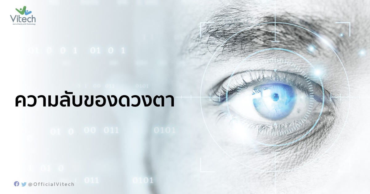 ความลับของดวงตา