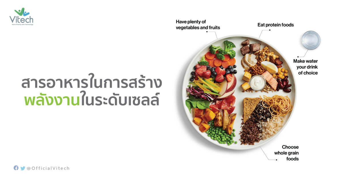 สารอาหารในการสร้างพลังงานระดับเซลล์