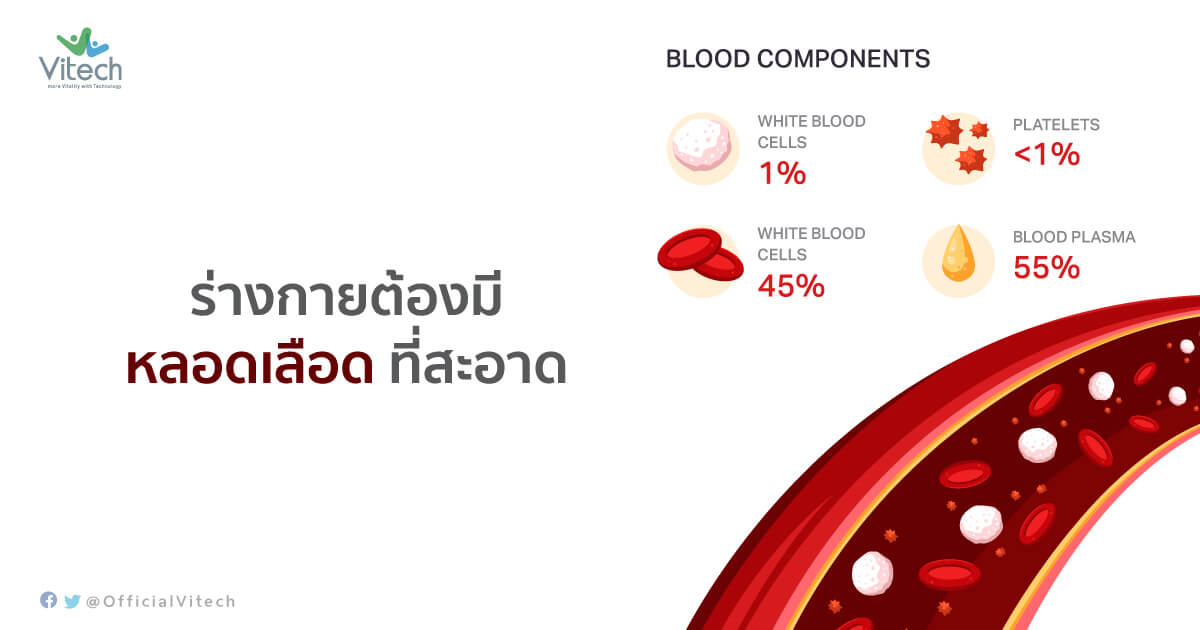 ร่างกายต้องมีหลอดเลือดที่สะอาด