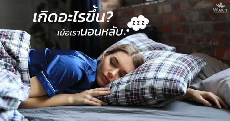 เกิดอะไรขึ้นเมื่อเรานอนหลับ