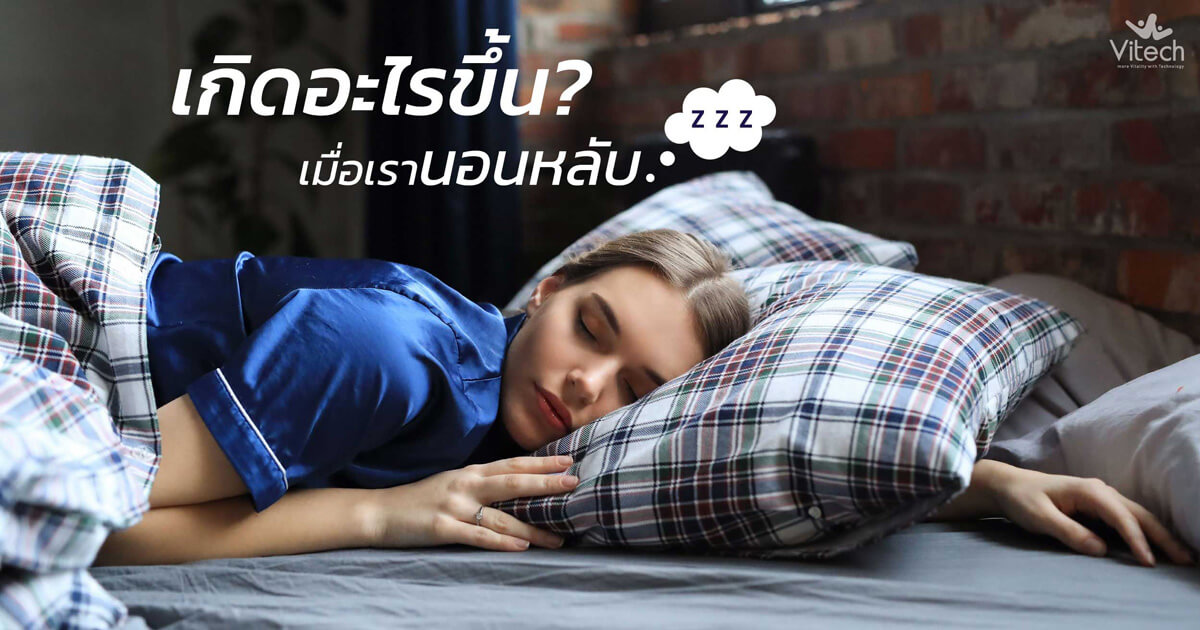 เกิดอะไรขึ้นเมื่อเรานอนหลับ