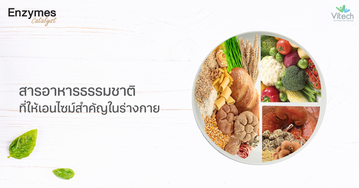 เอนไซม์-สารธรรมชาติ